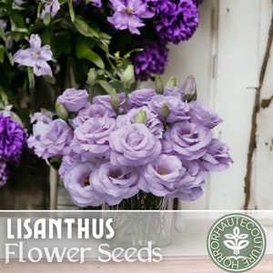 Lisianthus Seeds - 100 Seeds - Lavender -  Garden Bloom Flower Seed Flowers Garden Seeds Cut Flower Gifts