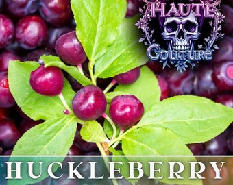 125+ Huckleberry Seeds -Woodland- Fragrant - Fresh Fruit Seeds Non GMO, Annual Seeds, Bulk Seeds, Wholesale