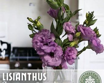 Lisianthus Seeds - 100 Seeds - Core Plum -  Garden Bloom Flower Seed Flowers Garden Seeds Cut Flower Gifts