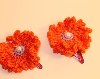 Hair Clips Set of 2