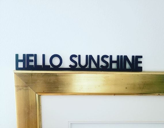 HELLO SUNSHINE Little Hippo Door Topper Sign