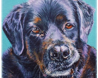 custom, Hand painted, original pet portrait, OOAK, colourful, acrylic painting, pet, animal, cat, dog, contemporary art, pet memorial