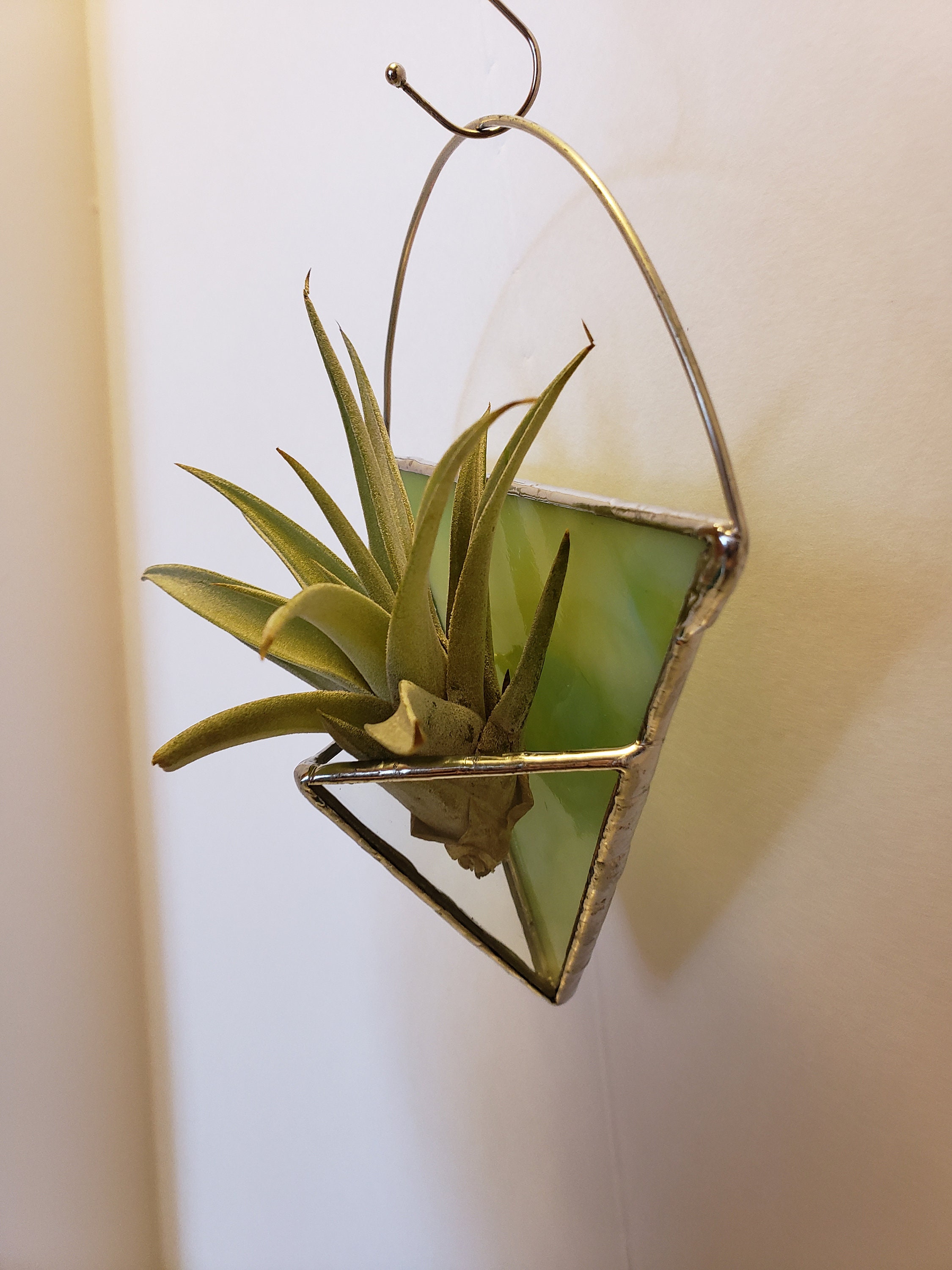 Green Air Plant Holder Stained Glass Sun Catcher Etsy