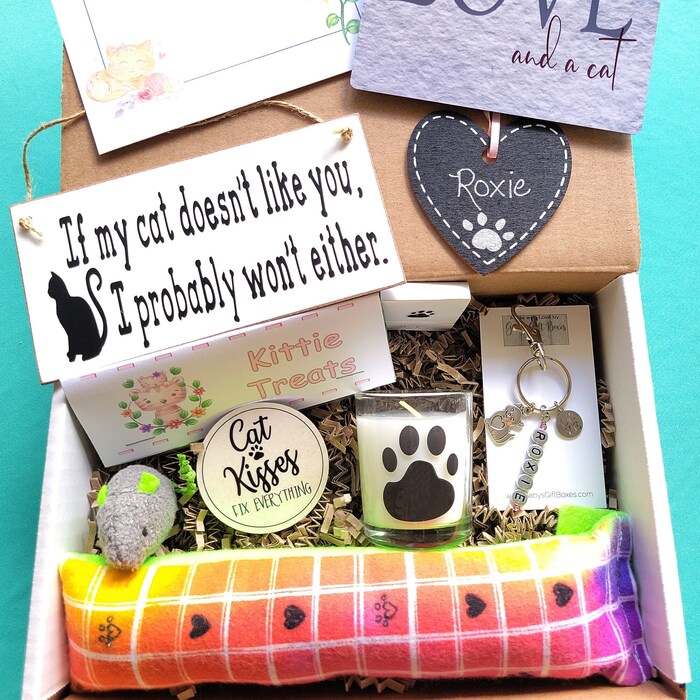 Cat Goody Box Etsy