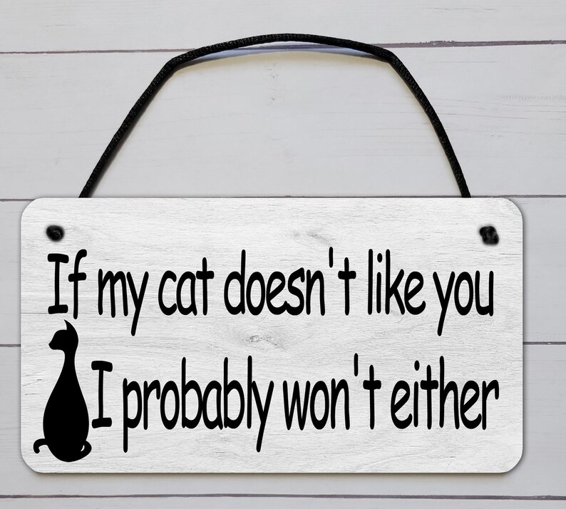 Cat Mom Gift Box, Cat Lover Gift Basket, Kitten Mom Gift, Pet Gift, Cat Lady Gift, Handmade Cat Toy, Pet Adoption, New Kitten Box, Kitty Toy Bild 3