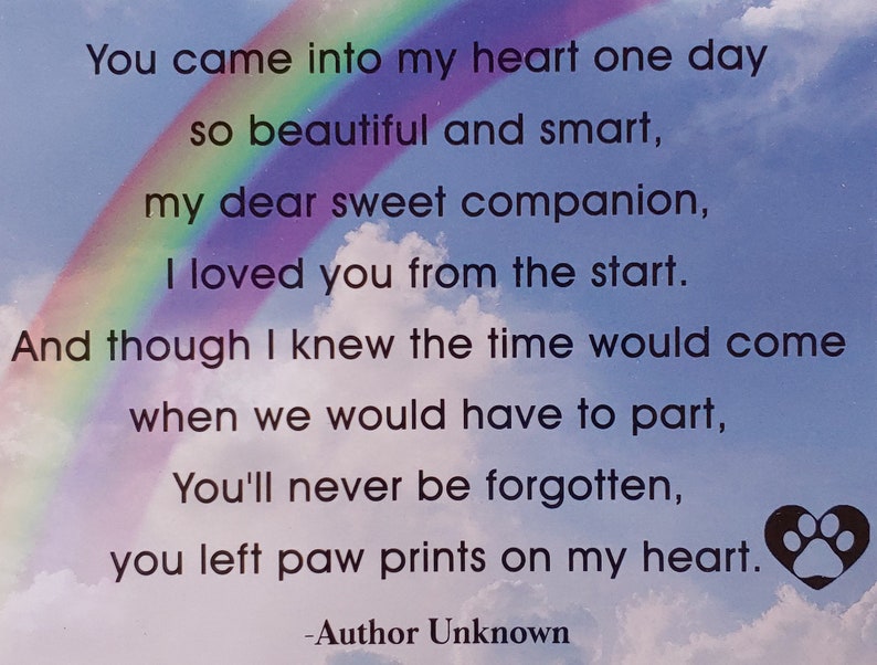 Dog Loss Gift Box, Pet Loss Keepsake, Dog Sympathy Gift, Remembrance Momento, Custom Memorial Gift, Rainbow Bridge, Dog Passing Memorial afbeelding 7