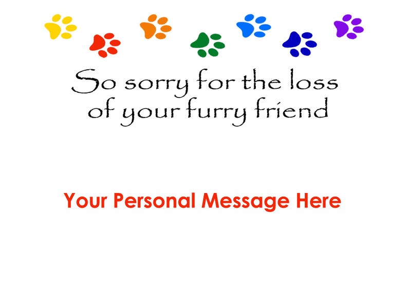 Dog Loss Gift Box, Pet Loss Keepsake, Dog Sympathy Gift, Remembrance Momento, Custom Memorial Gift, Rainbow Bridge, Dog Passing Memorial afbeelding 8