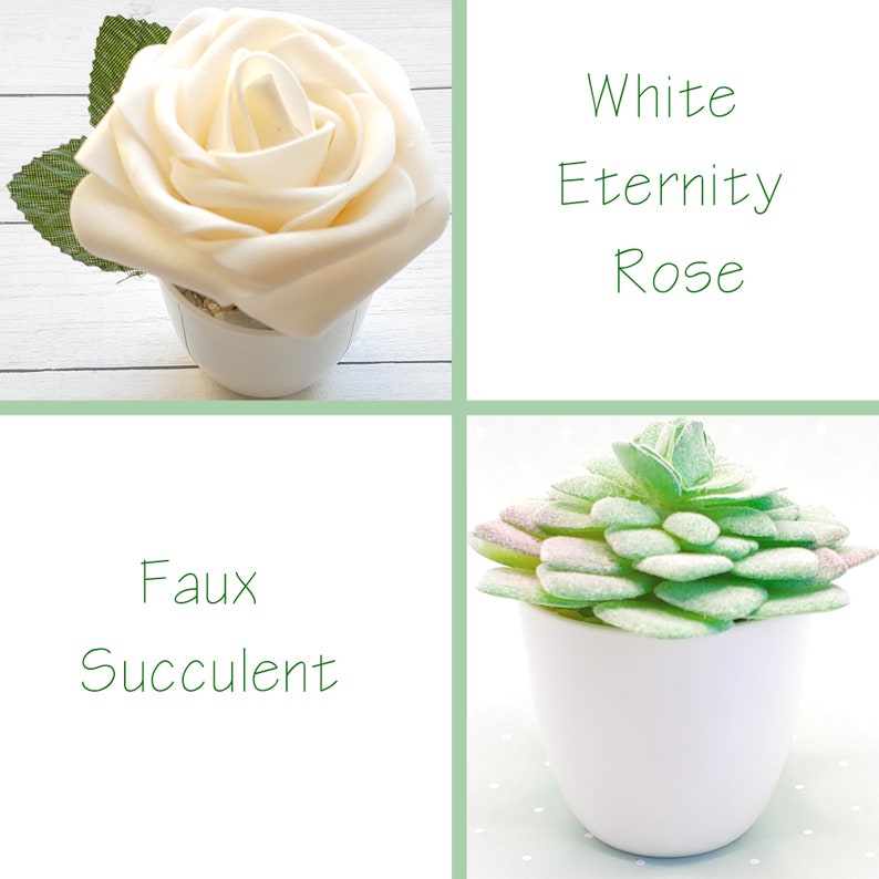 Op de afbeelding: Een witte eeuwigheidsroos en een kunstmatige succulent, beide in witte keramische potten. De roos is een enkele bloei met een cr&egrave;mewitte kleur. De succulent is een groene, bladerige plant met een licht roze tint.