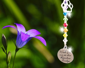 Rear View Mirror Hanger, Pet Sympathy, Pet Loss Memorial, Crystal Sun Catcher, Dog, Cat, Car Accessories, Memorial Car Hanger, Sentimental