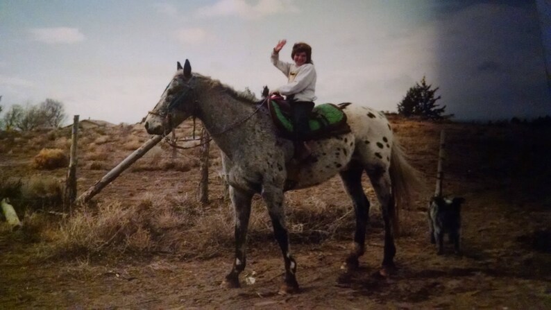 Roping Reins Loop Reins Barrel Racing Reins Variety of Color Reins Flat Adjustable Reins,Paracord Reins Horse Tack