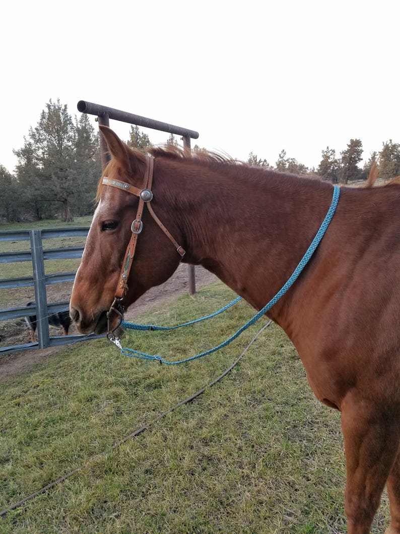 Roping Reins Loop Reins Barrel Racing Reins Variety of Color Reins Flat Adjustable Reins,Paracord Reins Horse Tack