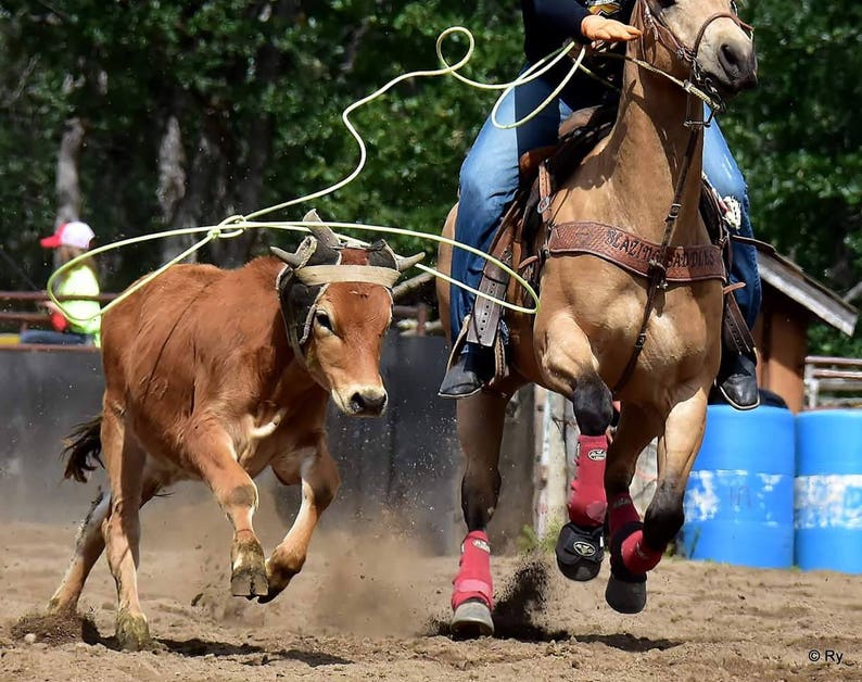 Roping Reins Loop Reins Barrel Racing Reins Variety of Color Reins Flat Adjustable Reins,Paracord Reins Horse Tack