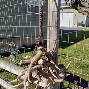 Antler Carrier