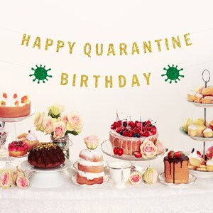 Happy Quarantine Birthday Party, Quarantine Birthday Gift, Quarantine Birthday Box, Quarantine Birthday Banner image 1