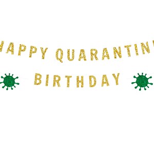 Happy Quarantine Birthday Party, Quarantine Birthday Gift, Quarantine Birthday Box, Quarantine Birthday Banner image 4