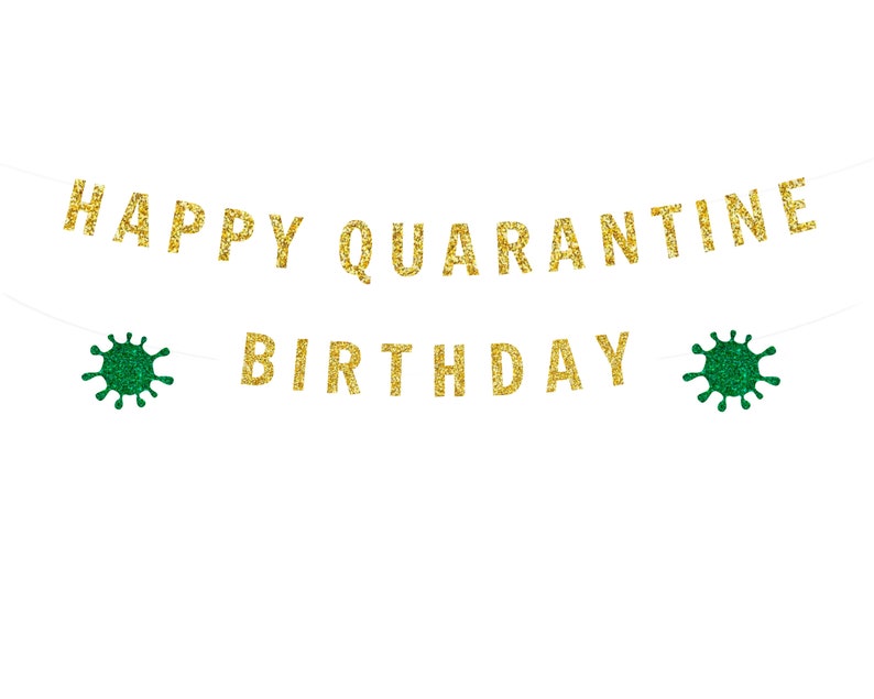 Happy Quarantine Birthday Party, Quarantine Birthday Gift, Quarantine Birthday Box, Quarantine Birthday Banner image 4