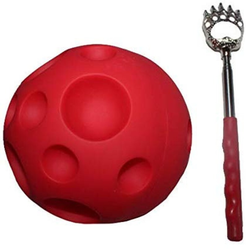 Large 16 Treat Ball & Pig Scratcher Etsy