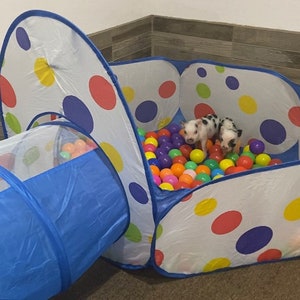 Pet Indoor Outdoor Play Tent with Crawl Tunnel and Ball Pit for Your Pig Includes 50 balls Red or Blue image 4