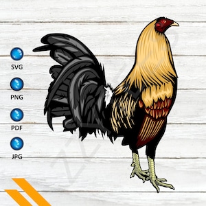 May include: A detailed illustration of a rooster with a black, white, and red plumage. The rooster has a yellow comb and wattles, and its tail feathers are long and flowing.