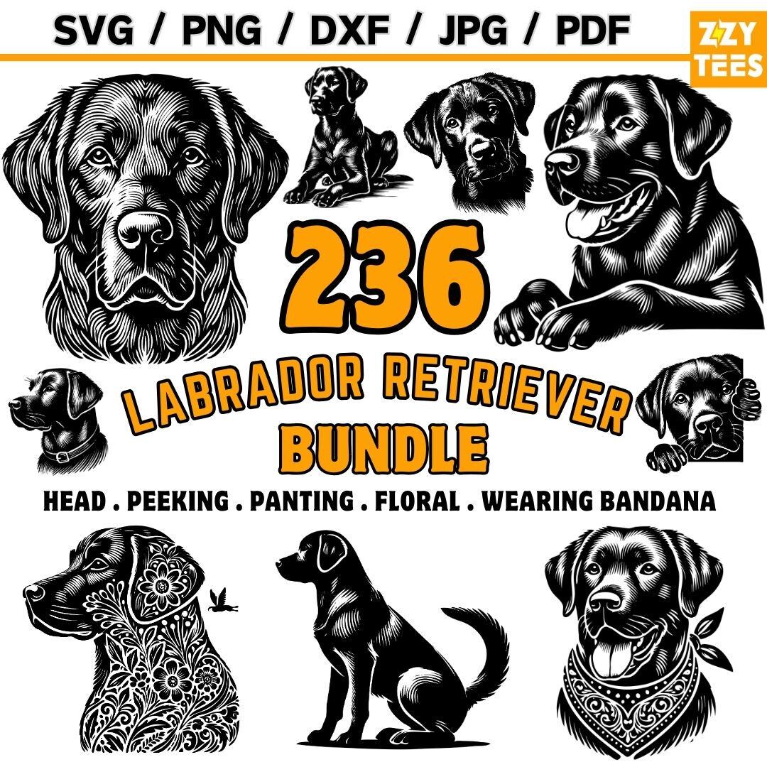 Labrador Retriever Clipart Bundle | Floral Bandana SVG PNG (digital ...