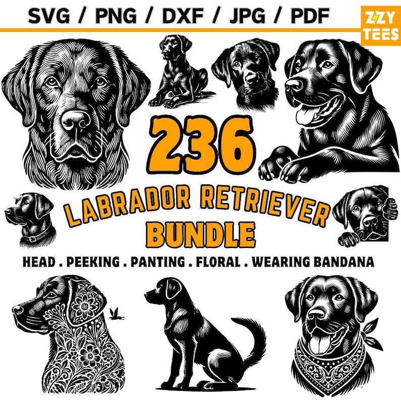 Labrador Retriever Clipart Bundle | Floral Bandana SVG PNG (digital ...