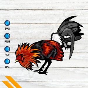 Puede incluir: Un gallo rojo, negro y blanco con una cresta grande y roja y barbas rojas. El gallo está en posición de combate con las alas extendidas y las plumas de la cola levantadas.