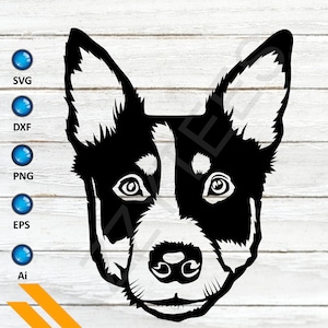 Testa di cane, Testa Heeler, Amante dei cani da bestiame, Arte del cane da bestiame australiano, Cane da bestiame Svg, File di taglio del cane da bestiame, Silhouette del cane da bestiame, Heeler Svg