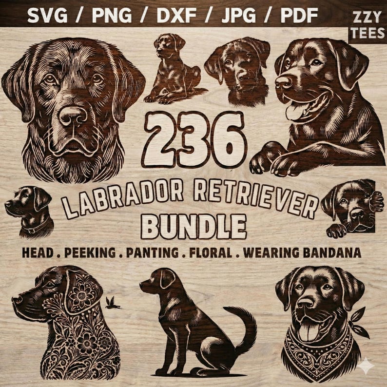 Labrador Retriever Clipart Bundle | Floral Bandana SVG PNG (digital ...