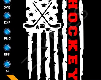 Hockey US Flag Vector