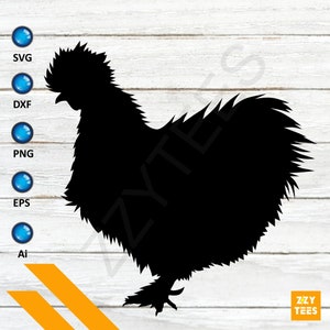 Silkie Chicken Clipart - Lindo Adorable Pollo Sedoso SVG, Silkie Pollo SVG Archivo Cricut, Cortar Archivo Imprimir Archivo Digital Descargar Formato Vectorial