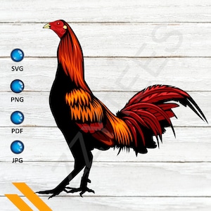 Rooster Sublimation Printfile PNG, Rooster SVG, Svg File For Cameo Cricut, Chicken Cutfile, Rooster Design, Chicken SVG, Rooster Sublimation
