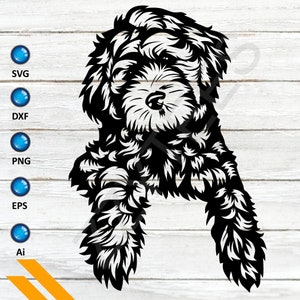 Süßer Labradoodle, australischer Labradoodle, Labradoodle Kunst, schwarzes Labradoodle, Schokoladen-Labradoodle, Golden Doodle, svg-Datei für Cricut,