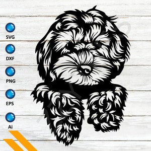Adorable Labradoodle, Labradoodle Australiano, Arte Labradoodle, Labradoodle Negro, Labradoodle de Chocolate, Doodle Dorado, Archivo Svg para Cricut,