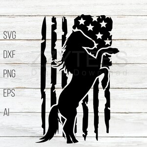 May include: A black silhouette of a horse rearing up in front of a distressed American flag. The flag has white stars on a blue field and red and white stripes.