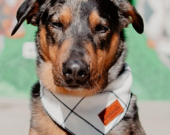 Minimal Flannel Dog Bandana | Handmade Pet Bandana with Snap Buttons