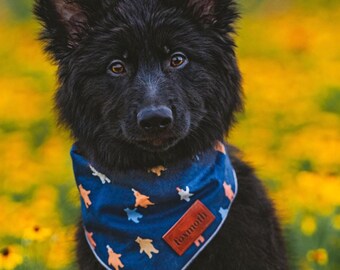 Party Bears Snap-On Dog Bandana