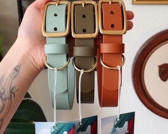 Earth Tone Moss Sienna Sage Waterproof Dog Collar | Customizable BioThane Buckle Collar | 16+ Colors