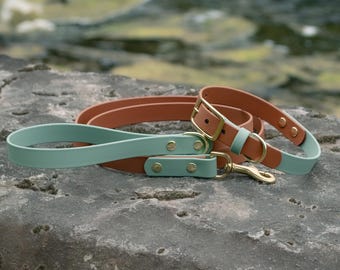 Custom Waterproof Dog Collar & Hands Free Leash Set | 20+ Color Combos, BioThane