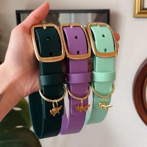 Waterproof Biothane Dog Collar | Evergreen, Berry, Breeze