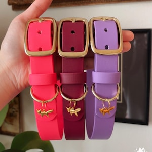 Waterproof Biothane Dog Collar | Merlot, Lucky, Berry