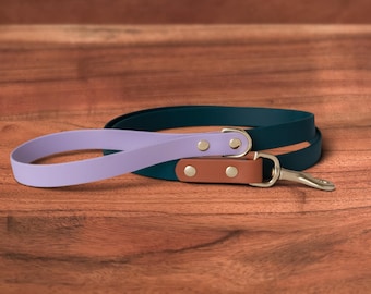 Strawberry Matcha Waterproof Dog Leash | Solid Brass Hardware, Handmade in Oregon USA