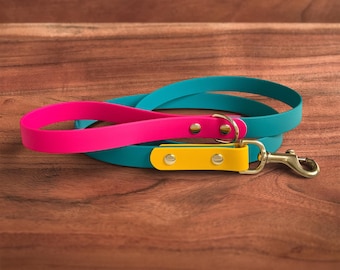 Modern Retro Waterproof Dog Leash | 3/4" Width | Biothane, 100% Handmade in USA, Solid Brass Hardware