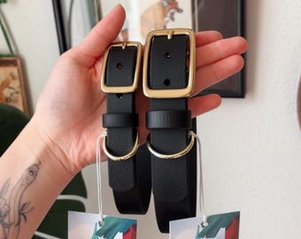 Crow Black Waterproof Dog Collar | Biothane Buckle Collar, Solid Brass Hardware