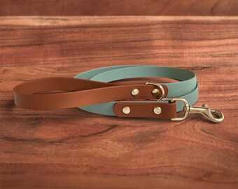 Modern Hands Free Waterproof Dog Leash | Sage x Sienna | Handmade in Oregon