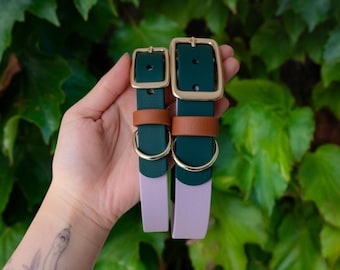 Lavender Spruce Waterproof Biothane Dog Collar | Handmade in Oregon, Forest Green Earth Tones