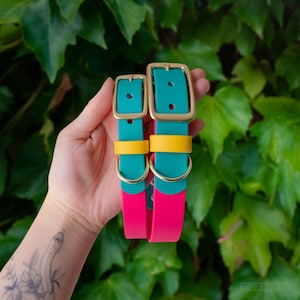May include: Two pet collars featuring a vibrant colour-blocked design with teal, bright yellow, and hot pink sections. Each collar includes a gold-toned metal buckle, a matching gold-toned D-ring, and a yellow sliding keeper loop for adjustment.