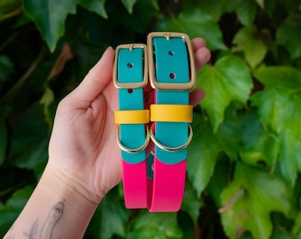 Modern Retro Waterproof Biothane Dog Collar | Handmade in Oregon