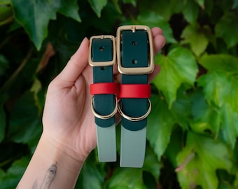 Strawberry Matcha Waterproof Biothane Dog Collar