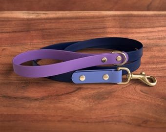 Cosmic Berry Waterproof Dog Leash | 3/4" Width | Biothane, 100% Handmade in USA, Solid Brass Hardware