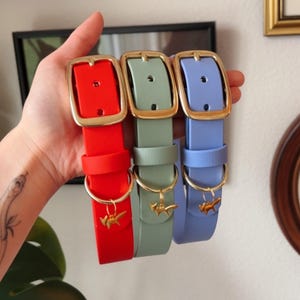 Biothane Waterproof Dog Collar | Lucky, Sage, Iris